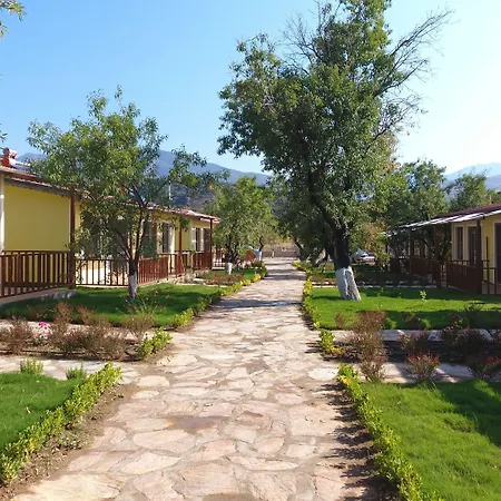 Hotel Selerdoga Evleri