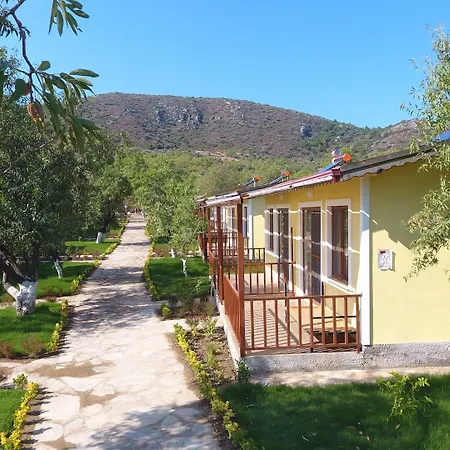 Selerdoga Evleri Hotel