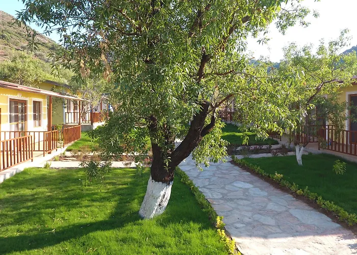 Selerdoga Evleri מלון