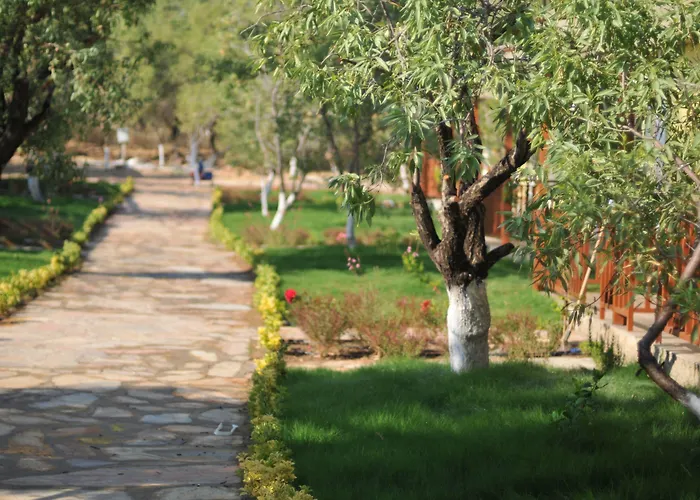 Selerdoga Evleri פלמוטבוקו