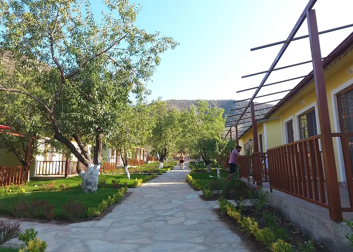 מלון Selerdoga Evleri פלמוטבוקו