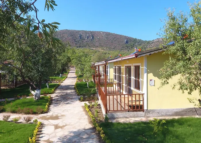 Selerdoga Evleri מלון