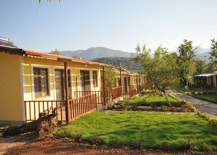 מלון Selerdoga Evleri *