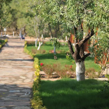 Selerdoga Evleri 帕拉姆布库