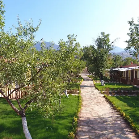 Selerdoga Evleri 帕拉姆布库