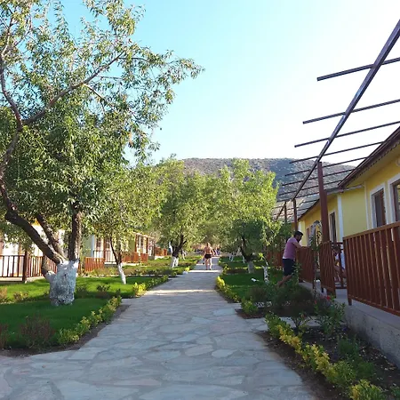 酒店 Selerdoga Evleri 帕拉姆布库