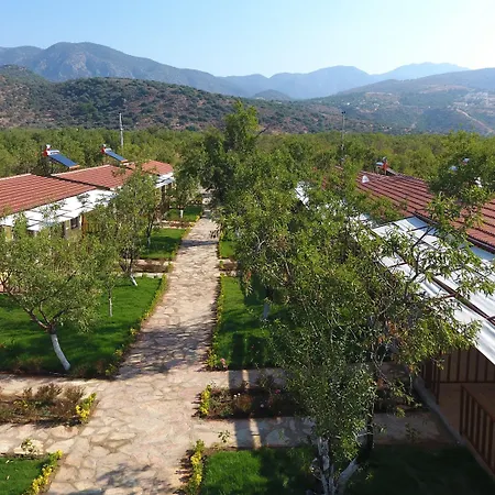 Hotel Selerdoga Evleri Palamutbuku