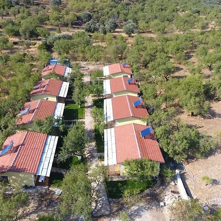 酒店 Selerdoga Evleri