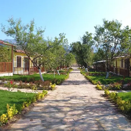 Selerdoga Evleri 帕拉姆布库